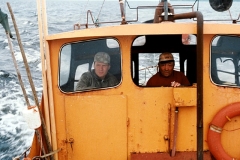Venereissulla