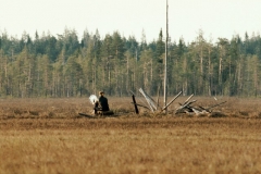 Makkarasuolla
